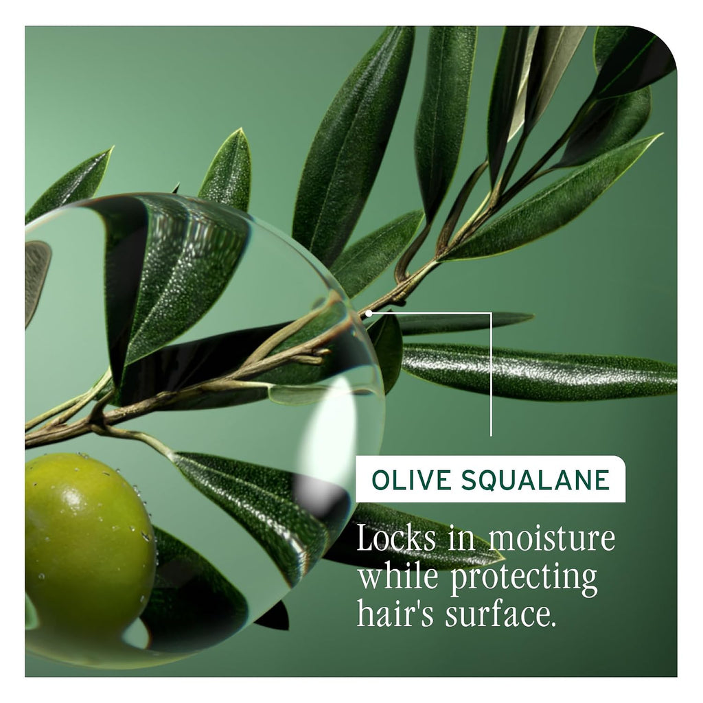 Biolage Strength Recovery Conditioner – For Damaged Hair
