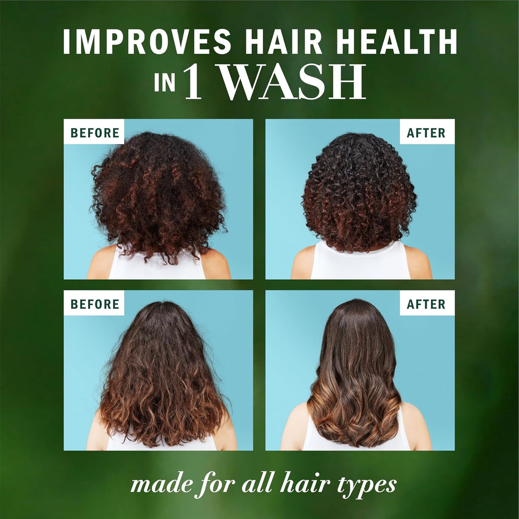 Herbal Essences Argan Oil Repair Shampoo & Conditioner Set, Moisturizes & Smoothes, Paraben-Free, Color-Safe, pH-Balanced, Citrus Scent, 20.2 Fl Oz, 2-Pack
